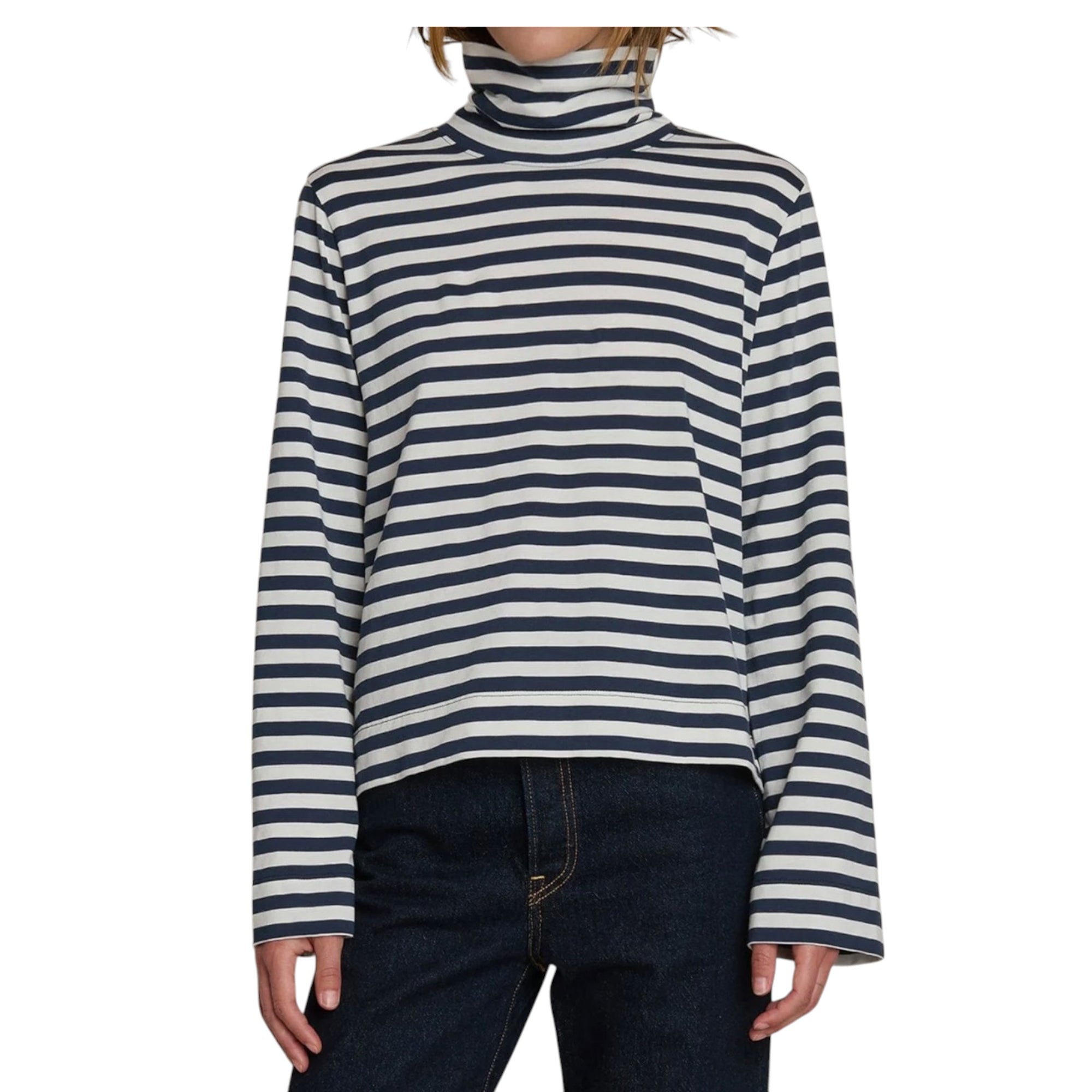 Nation Ltd Neo Turtleneck - Seascape Stripe