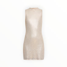 Caballero Rayne Dress - Silver