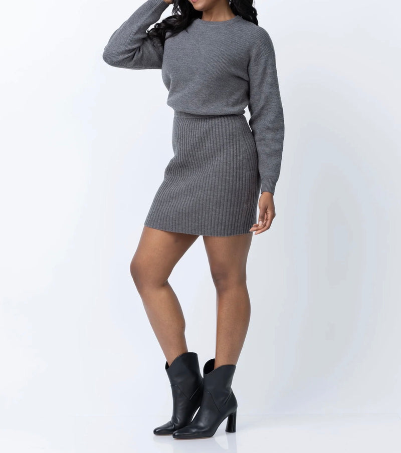 dh New York Kaden Dress - Ash