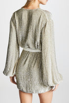 Retrofête Gabrielle Sequined Dress - Champagne