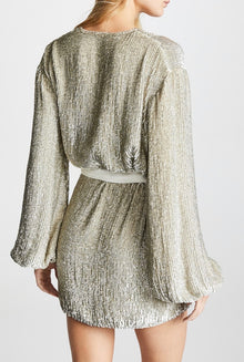Retrofête Gabrielle Sequined Dress - Champagne