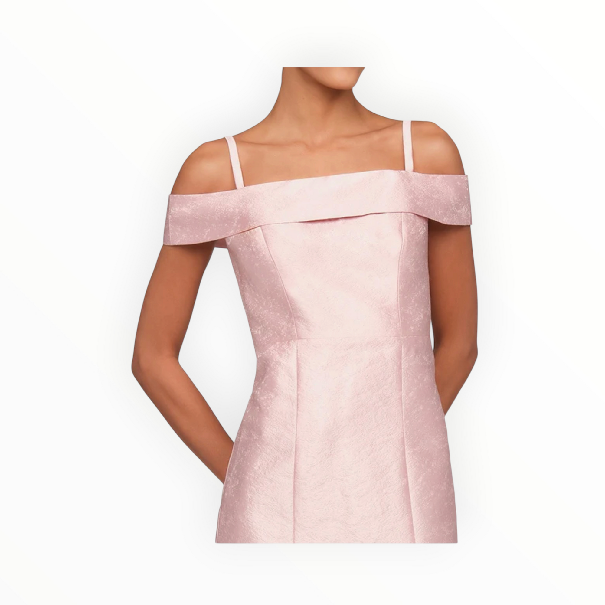 Kay Unger Edith Column Gown - Ballet Pink