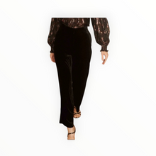 Caballero Haven Velvet Pant - Black
