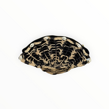Sensi Studio Shell Clutch - Black/Natural