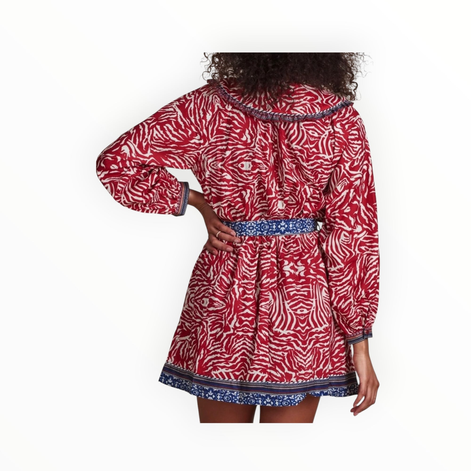 The Shirt by Rochelle Behrens Taylor Dress - Red Boho