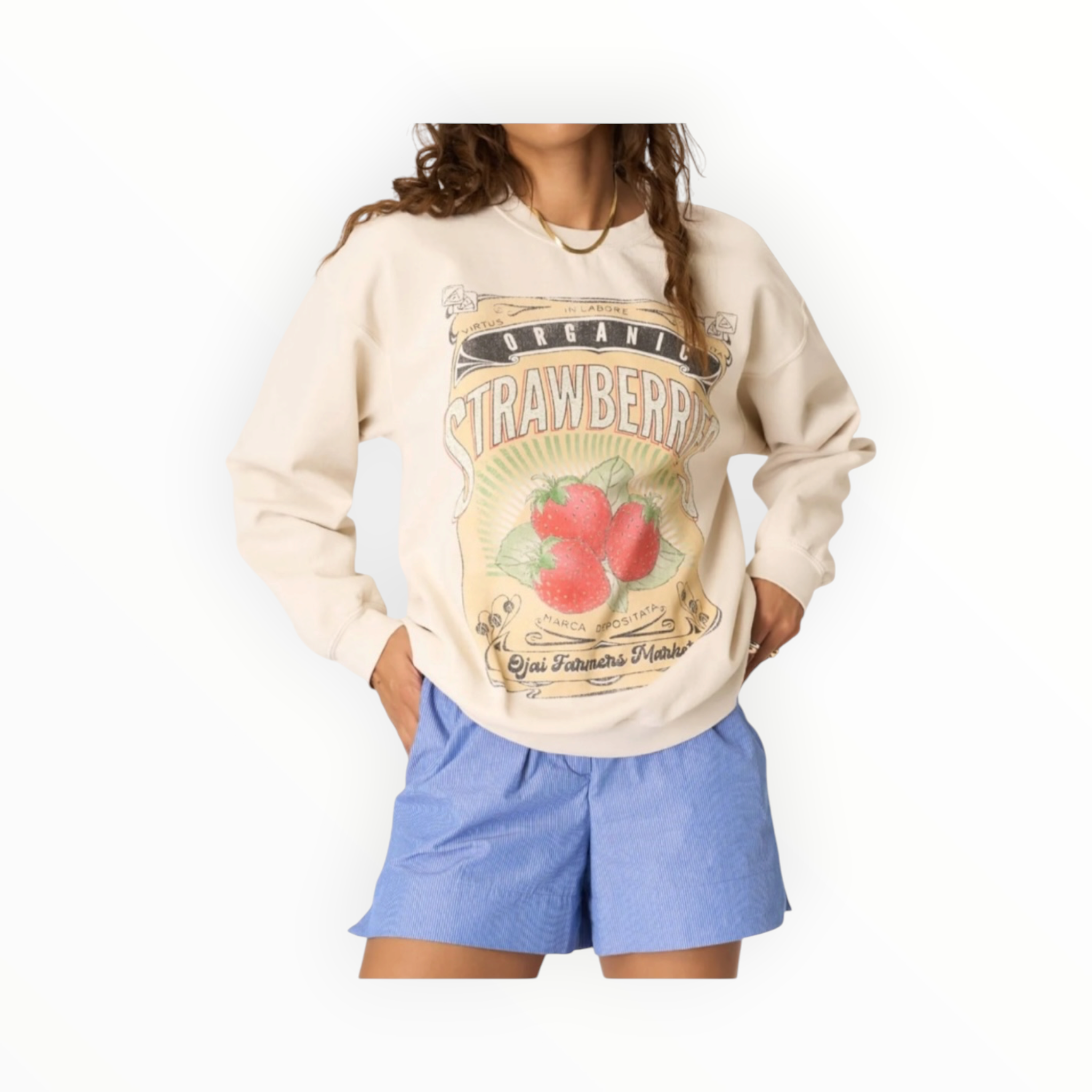 Project Social T Strawberries Oversized Sweatshirt - Brushed Bone