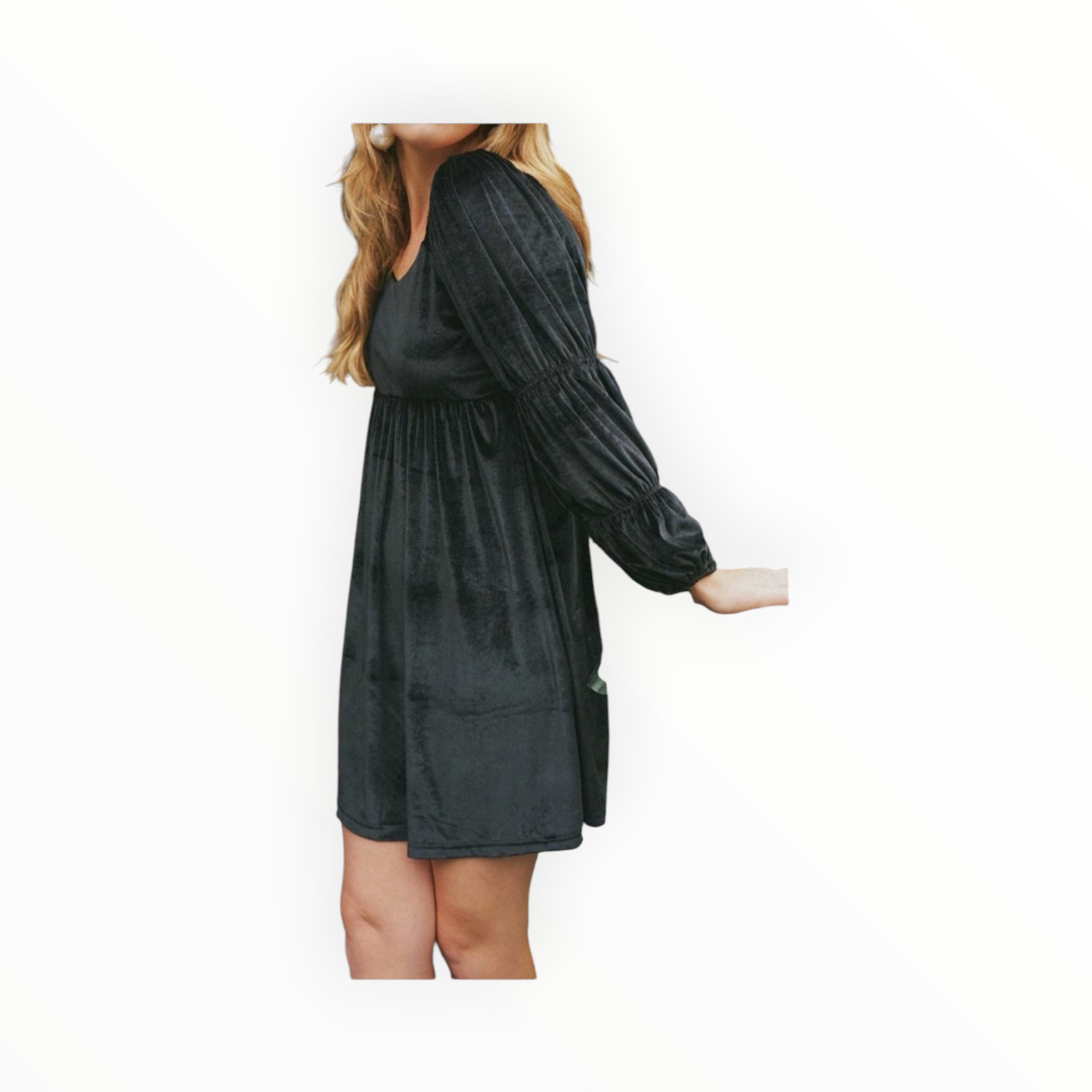 Smith & Quinn Greta Dress - Black Velvet