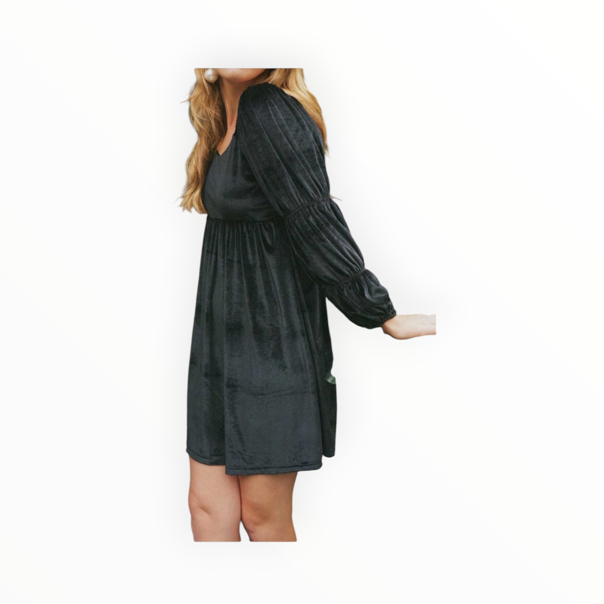 Smith & Quinn Greta Dress - Black Velvet