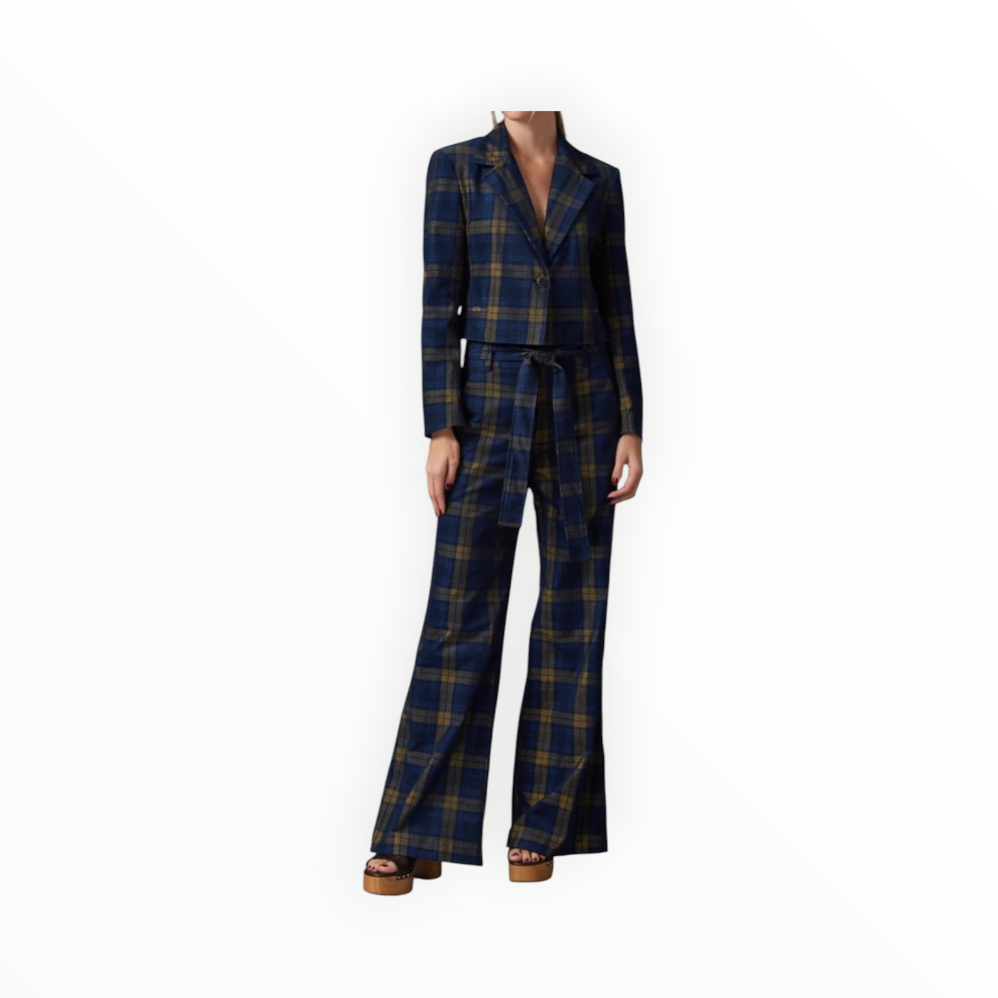 Gilner Farrar Oaklyn Pants - Blue Plaid