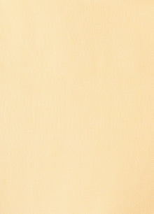 Faithful the Brand Suis Mini Dress - Butter