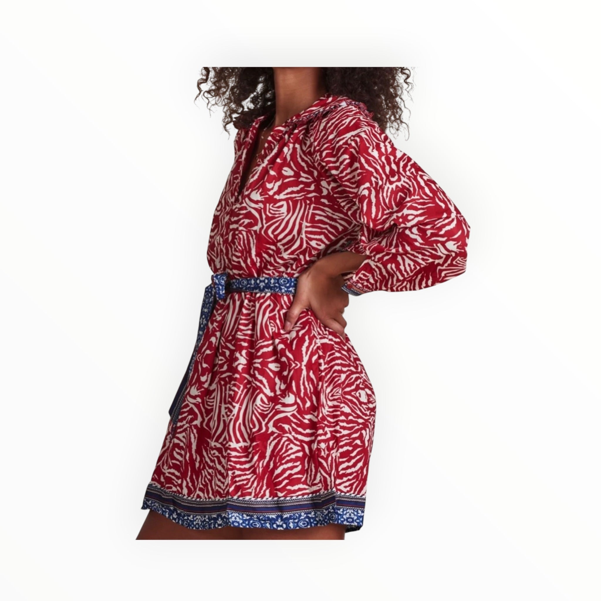 The Shirt by Rochelle Behrens Taylor Dress - Red Boho