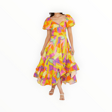 Alivia Laura Dress - Colorblock Multi