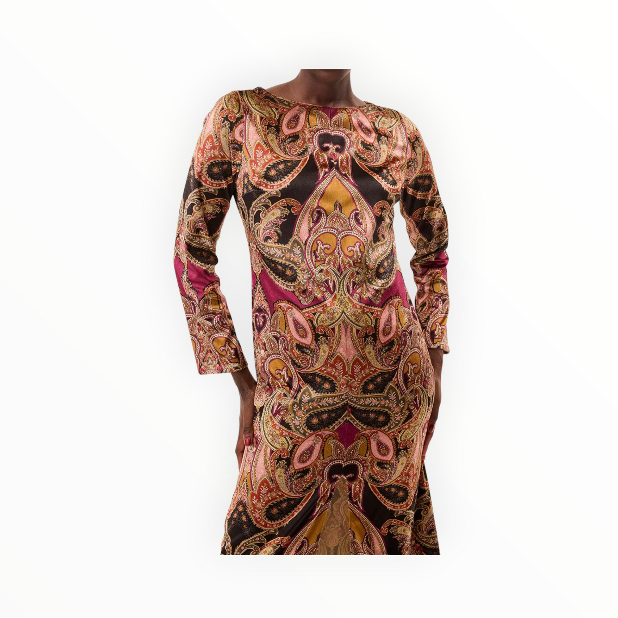 MISA Goldie Velvet Dress - Persian Paisley