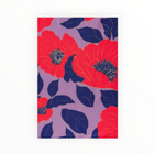 Trovata Flores Culotte Pant - Poincianna Floral