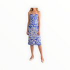 Lavender Brown Soraya Dress - Blue/Ivory Combo