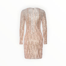Le Superbe Babylon Twiggy Sequin Dress