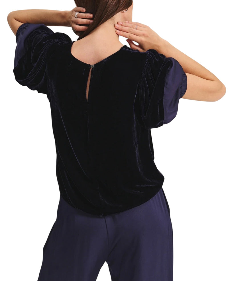 Velvet by Graham & Spencer Taryn Top - Viking