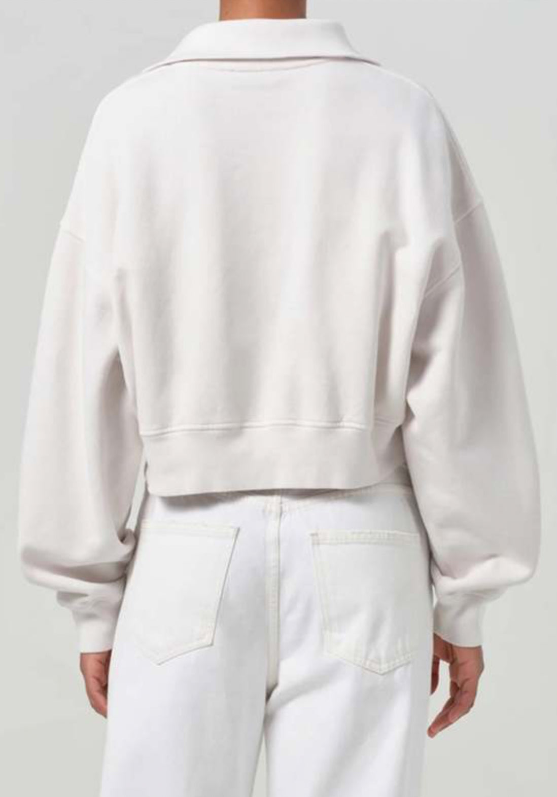 AGOLDE Agolde Bethan Quarter Zip Sweatshirt - Wired