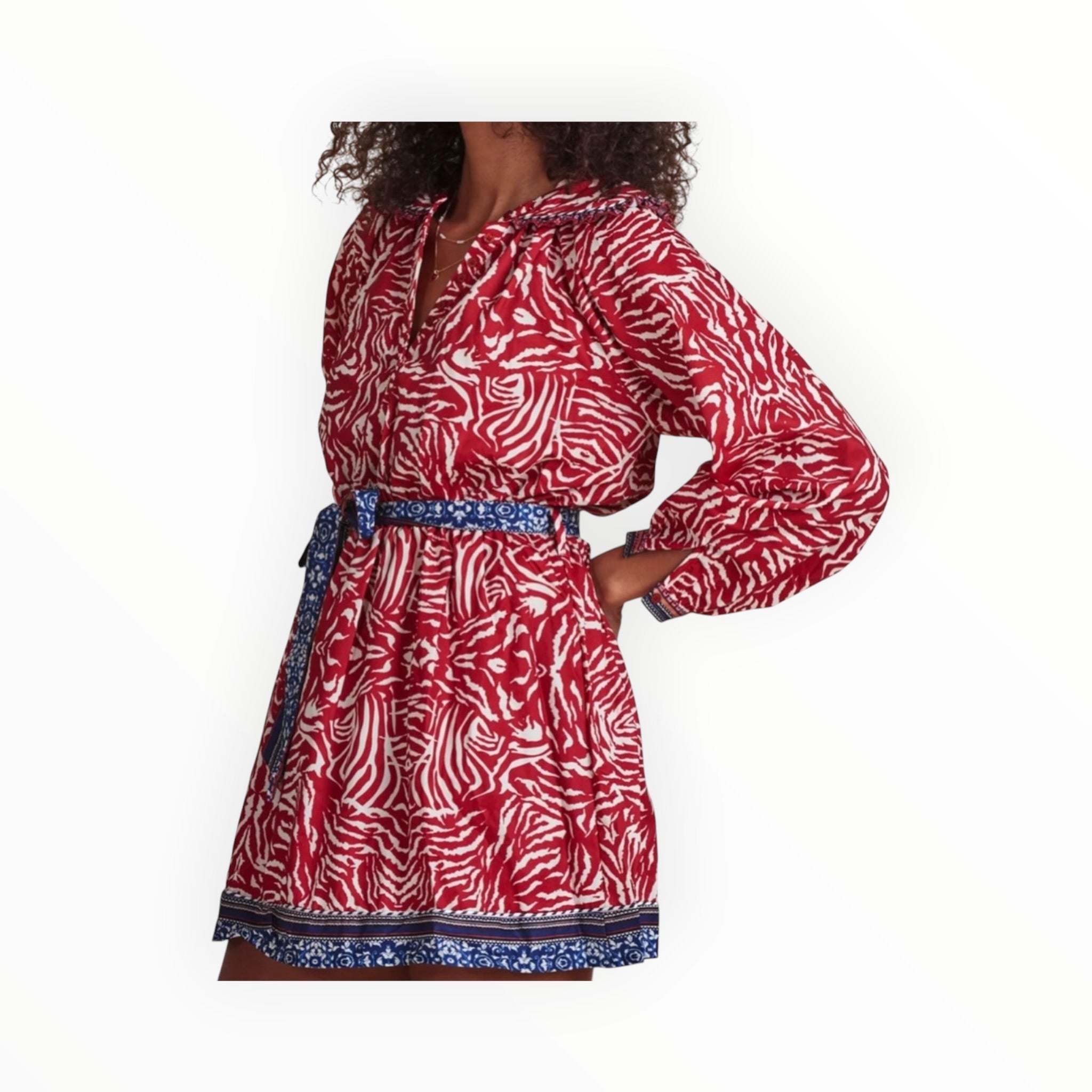 The Shirt by Rochelle Behrens Taylor Dress - Red Boho