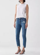 AGOLDE Jamie Classic Skinny Jean - Grade