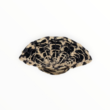 Sensi Studio Shell Clutch - Black/Natural