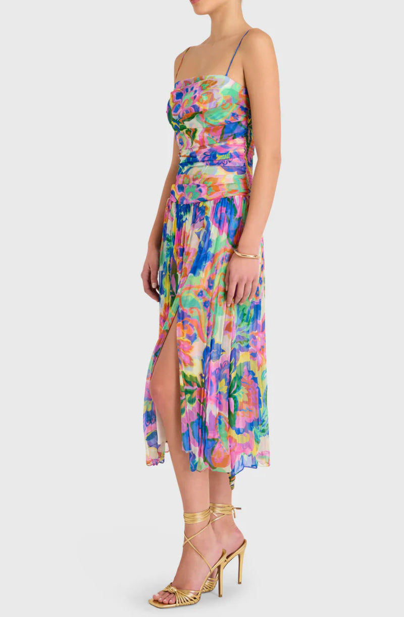 Amanda Uprichard Lumiere Dress - Fleetwood Print