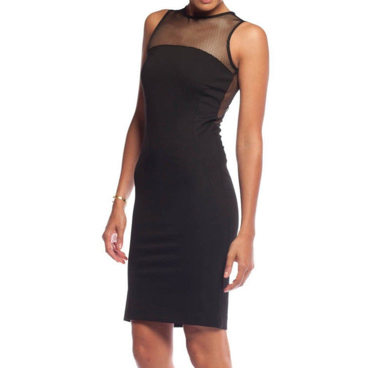 Torn by Ronny Kobo Carson Mesh Dress - Black