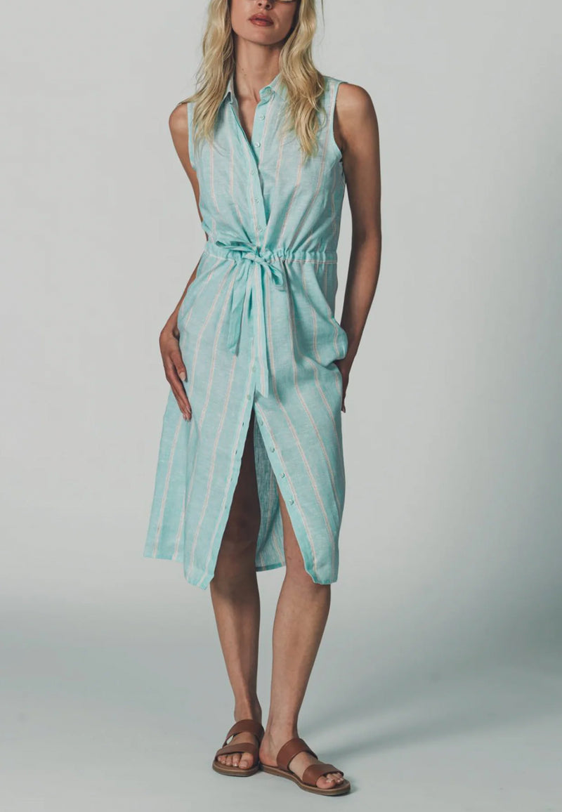 The Shirt by Rochelle Behrens The Sleeveless Drawstring Dress - Mint Stripe