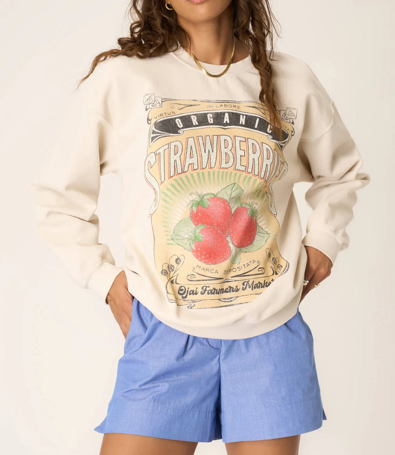 Project Social T Strawberries Oversized Sweatshirt - Brushed Bone