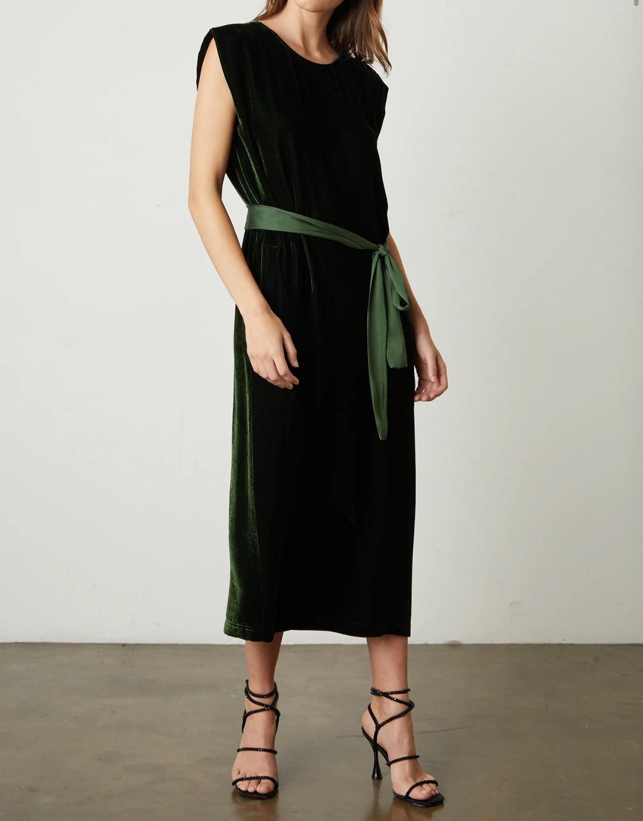 Velvet by Graham & Spencer Kandace Silk Velvet Dress - Fern