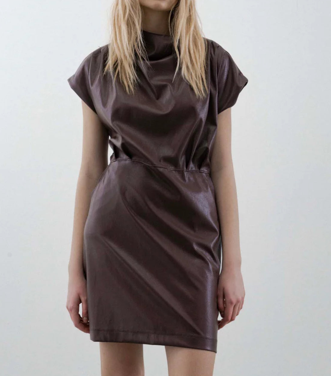 Melissa Nepton Lisa Faux Leather Dress - Chocolate