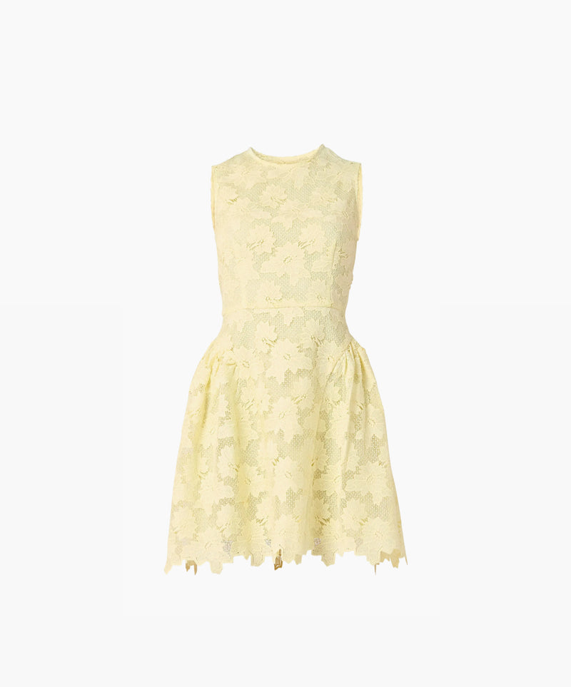 Shoshanna Fleur Dress - Sunburst