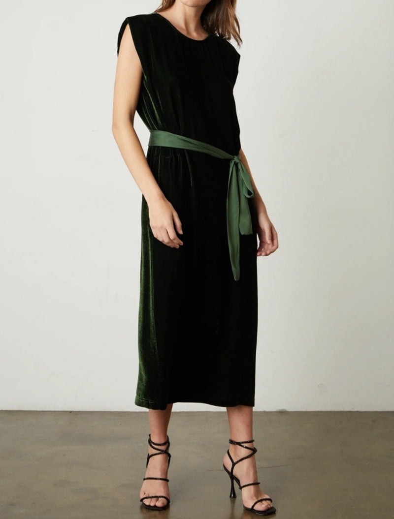 Velvet by Graham & Spencer Kandace Silk Velvet Dress - Fern