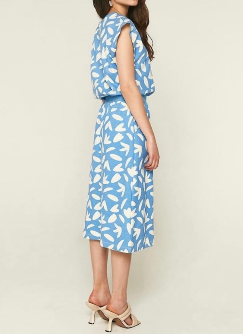 Compañia Fantastica Petal Floral Print Plush Midi Dress - Blue/White